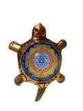 Dhan Laxmi Tortoise (Only Kachua) for Good Luck